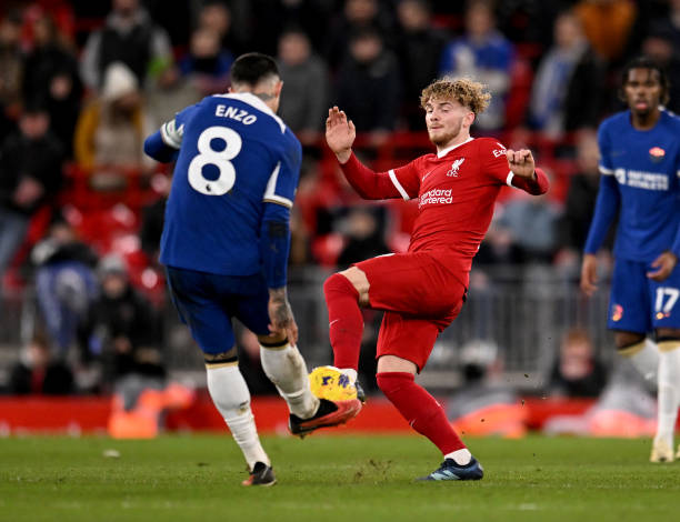 申花的令人 申花的令人